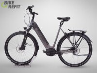 Raleigh Kent Premium