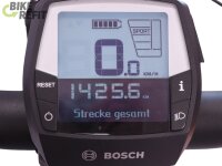 Hercules Roberta Pro I-R5